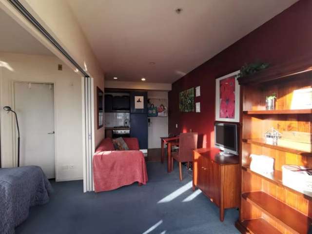 9d/82 Wakefield Street Auckland Central_3