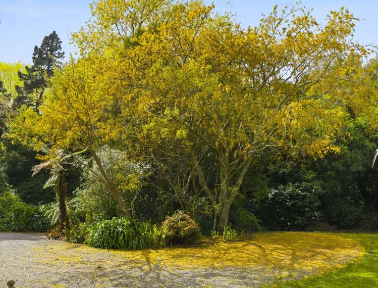 193 State Highway 1 Waikanae_45