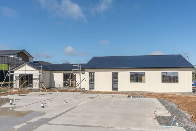 19 Halo Green Peacocke_1