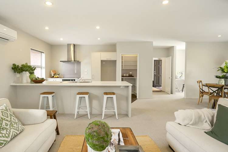 1B Moule Street Addington_3