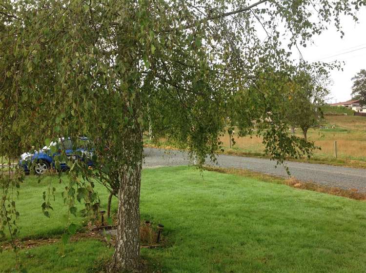 14 Loop Road Balclutha_9