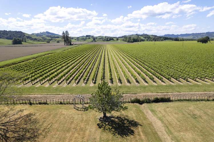 37 Branson Road Waipaoa_35