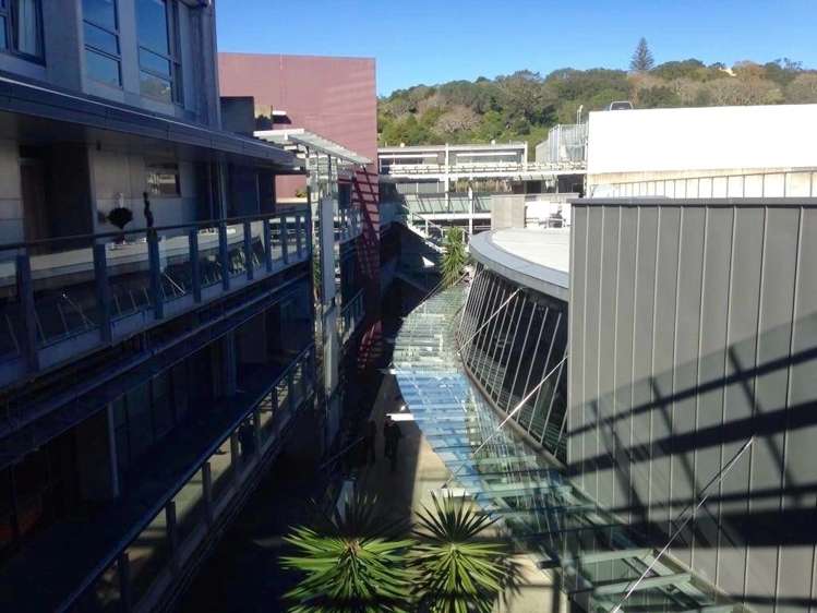 213/23 Edwin Street Mount Eden_11