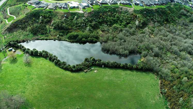 7 Awarua Road Cambridge_7