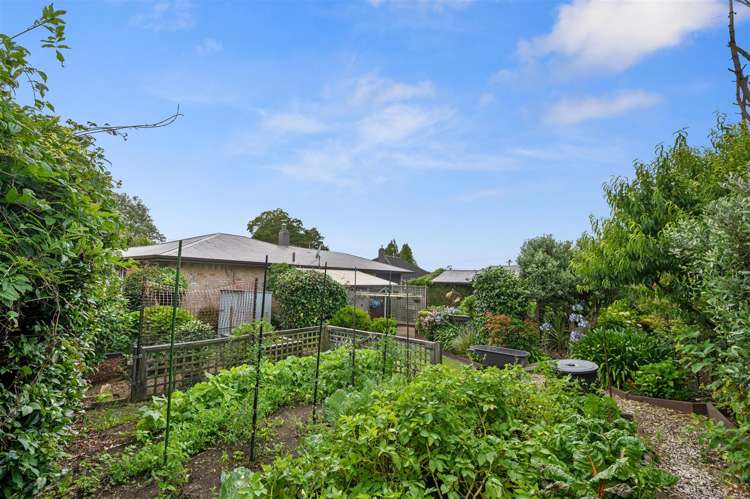 1 Kiwi Street Springfield_15