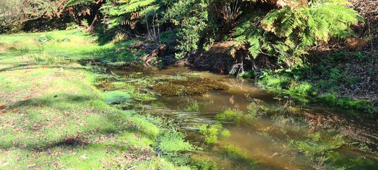 1899a State Highway 23 Whatawhata_20