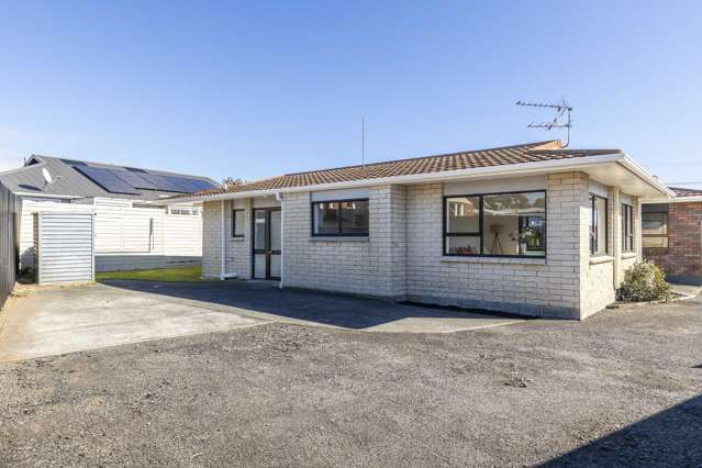 13A Tukapa Street Westown_1