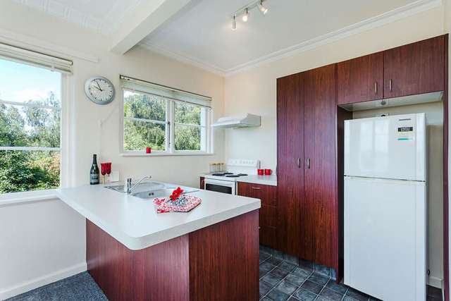 4f Alva Street Dunedin Central_2