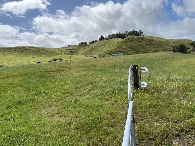 860 Egmont Road Hillsborough_24