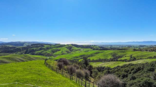 430 North Road Mangatarata_2