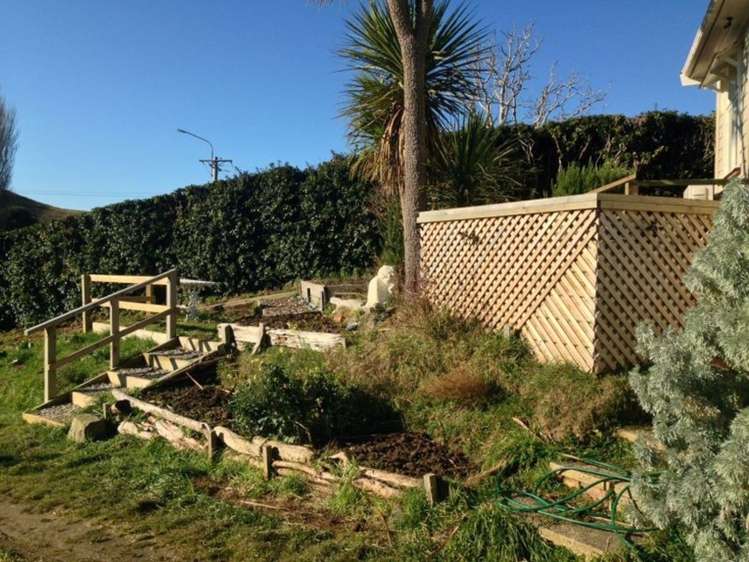 8 Harington Point Road Portobello_20