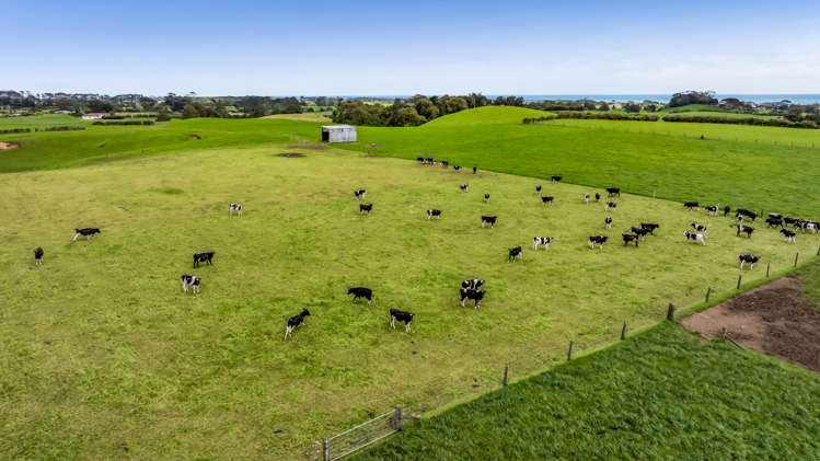 165 Oxford Road Okato_14