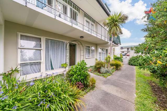 Easy Living in the Heart of Petone