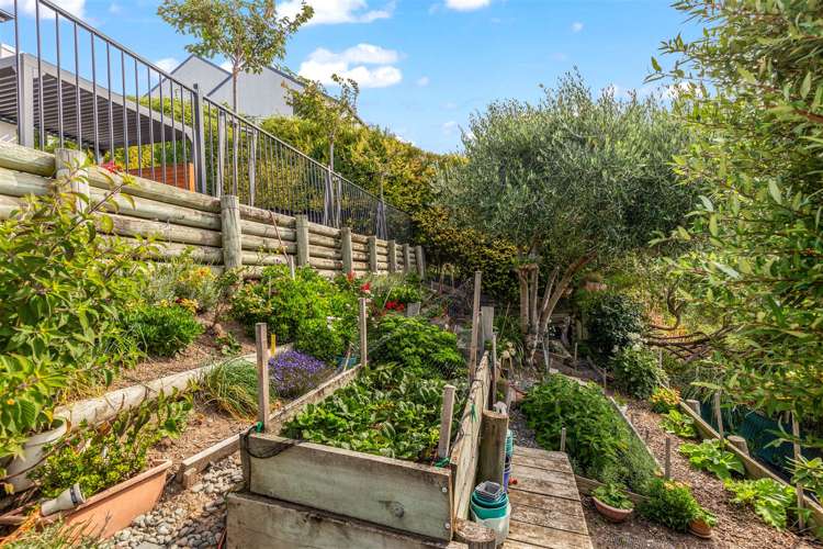 9 Chittagong Lane Cashmere_30