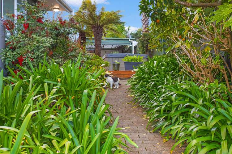 23 Pinewood Grove Botany Downs_18