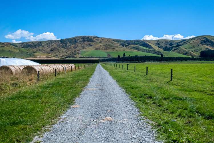 87 Hekeao Road Mesopotamia_24