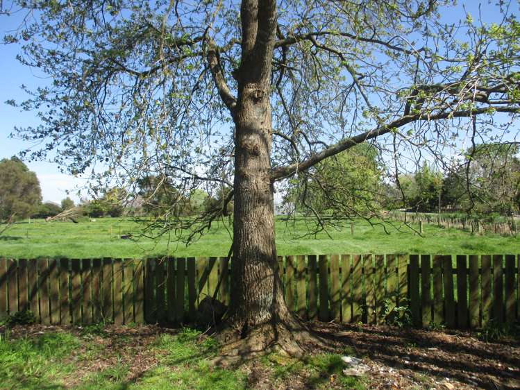 62 Junction Road Paeroa_15