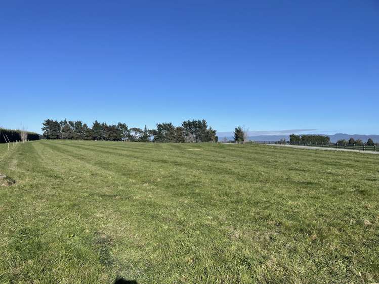 Phelps Way Morisons Bush_11