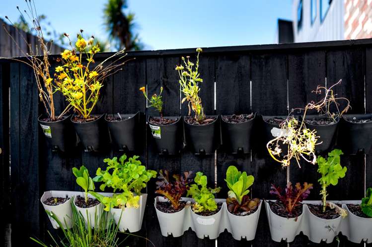 6 Rara Lane Manukau_13