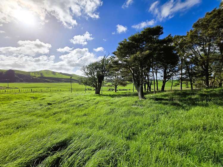 Lot Lot 3 Sills Road Dargaville_9