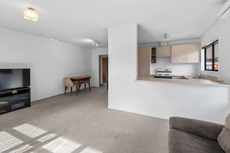 5a Mains Avenue Kensington_4