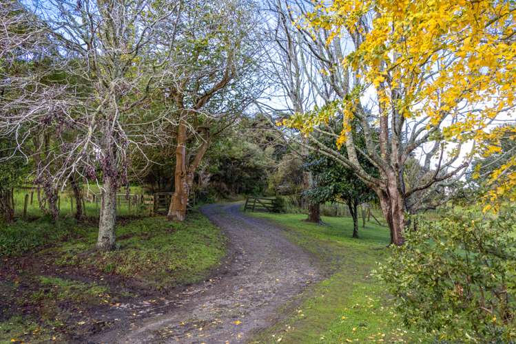 370 Rimmer Road Helensville_28