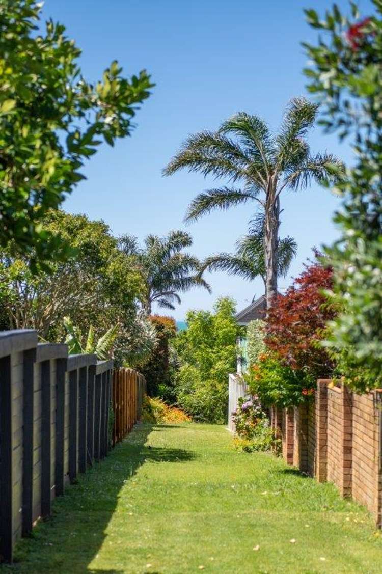 12a Park Avenue Takapuna_12