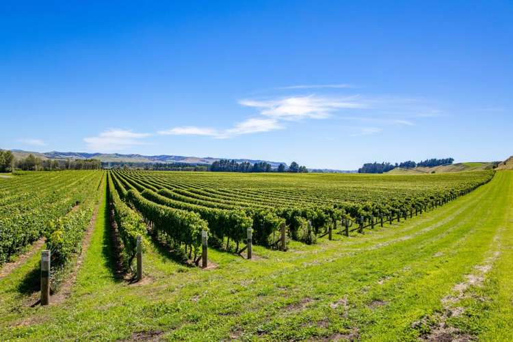 Seaview Road Seddon_5