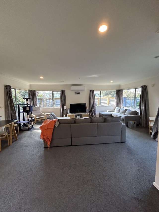 53b Renall Street Masterton_3