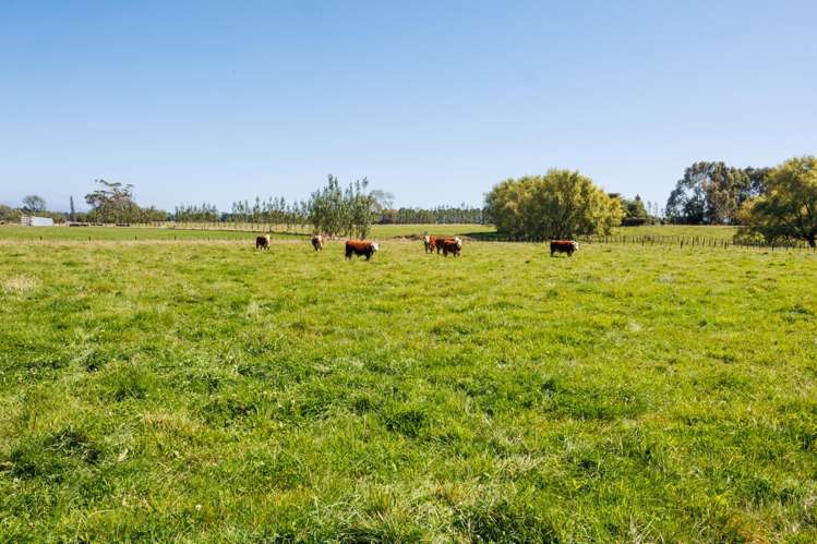 89 Ulysses Road Ashhurst_31