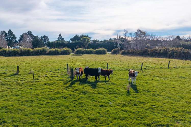 481 Fairview Road Claremont_23