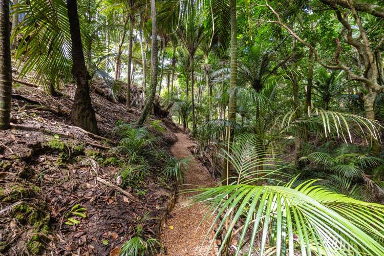 33 Beatty Parade Surfdale_29