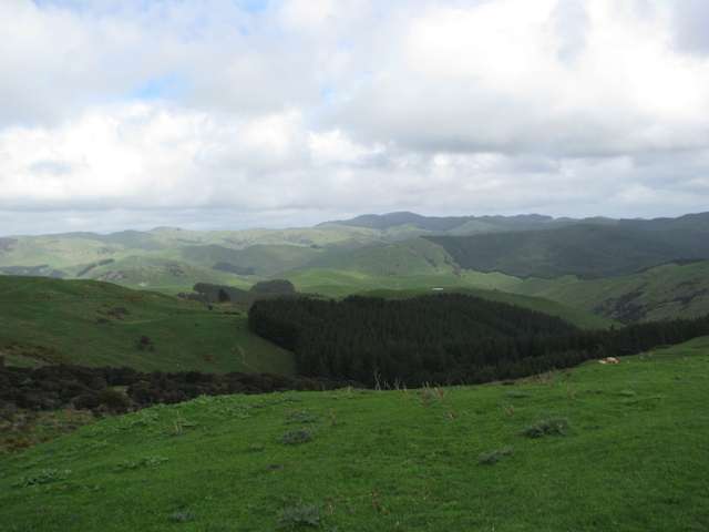 Manawa Road Tinui_2