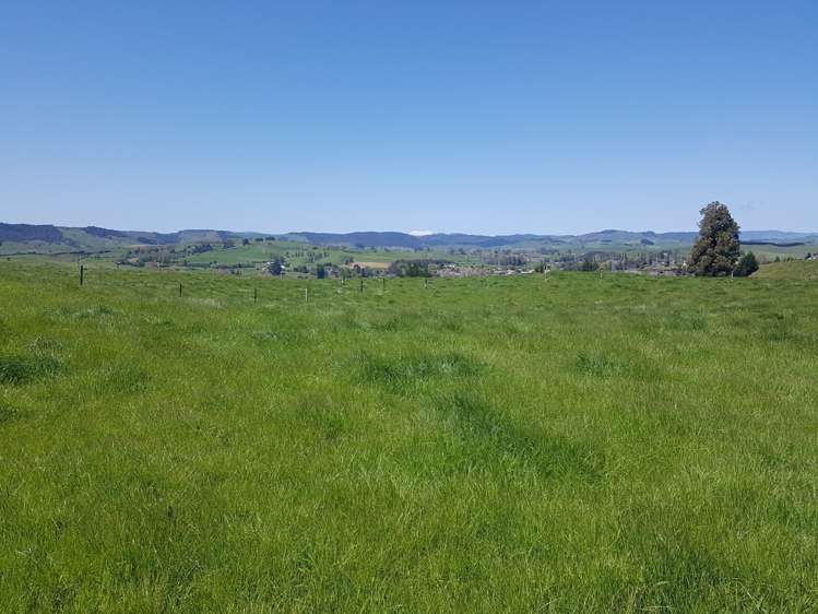 86 Mairoa Road Piopio_13