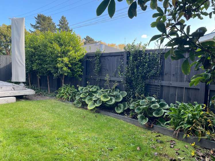 103B Rimu Street Maeroa_16