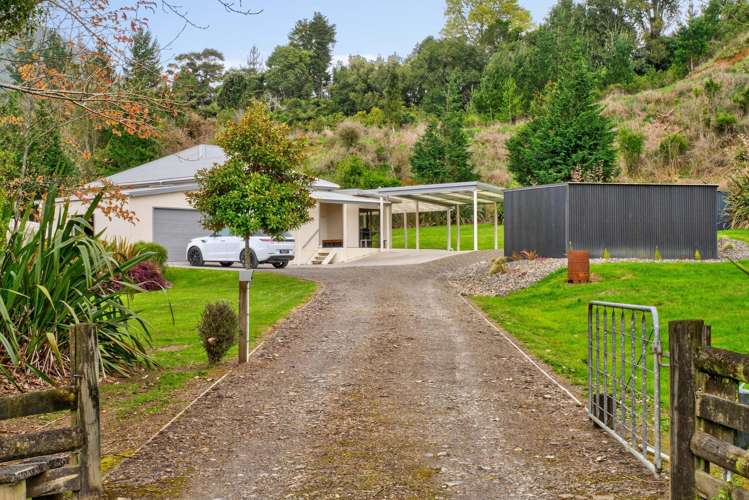 1354 No 3 Road Te Puke_4