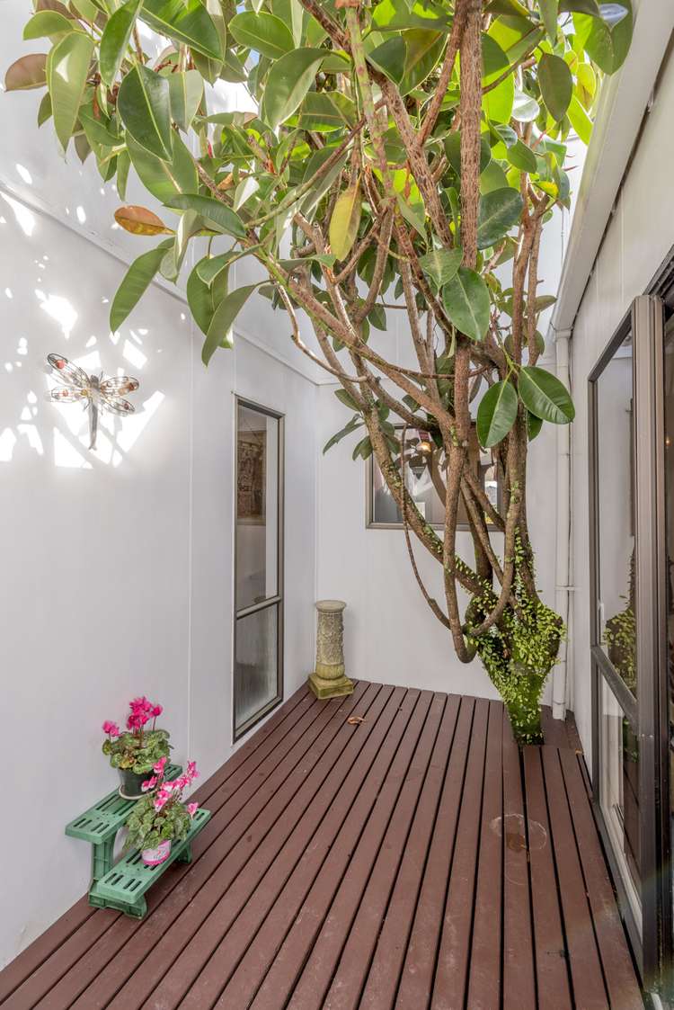 17 Awanui Drive Waikanae_7