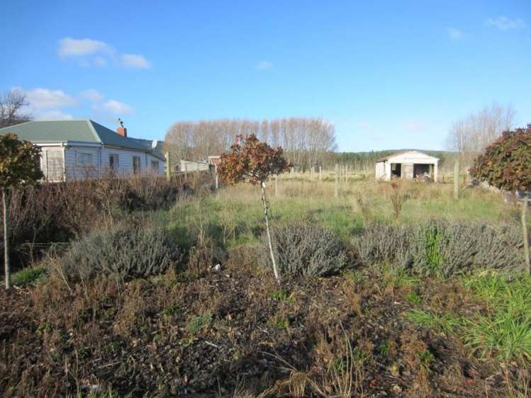 388 Waihola Highway_0