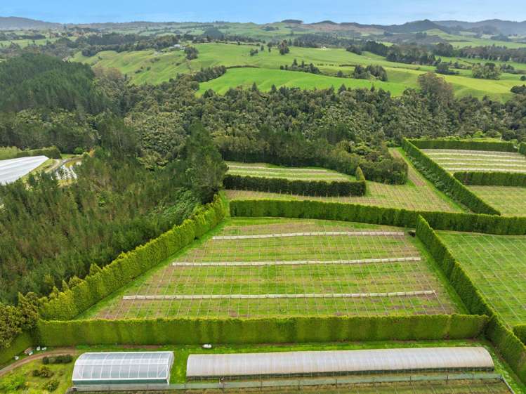 Lot 6/1010 Te Matai Road Te Ranga_8