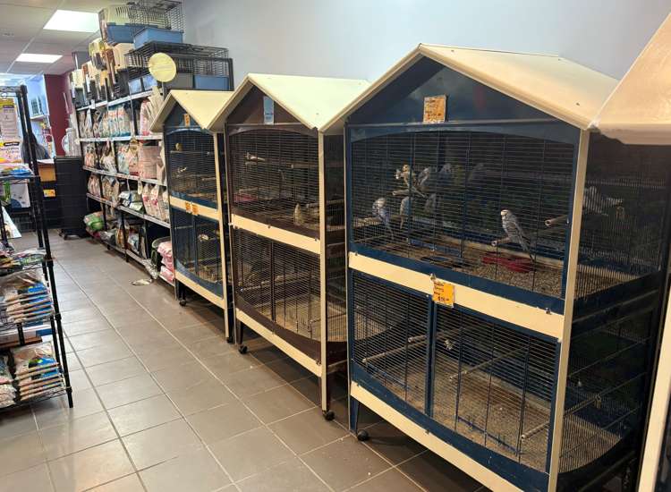 Address withheld Auckland_6