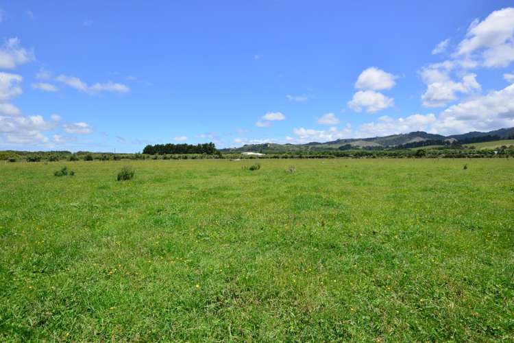 464 Woodcocks Road Warkworth_20