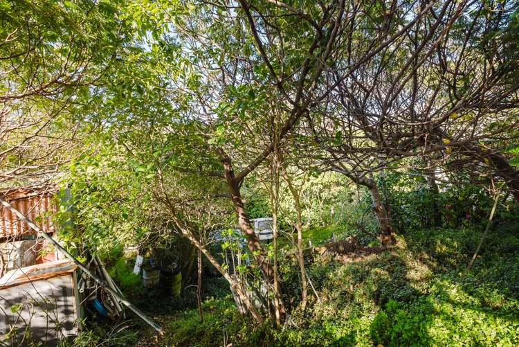 90 The Parade Paekakariki_9