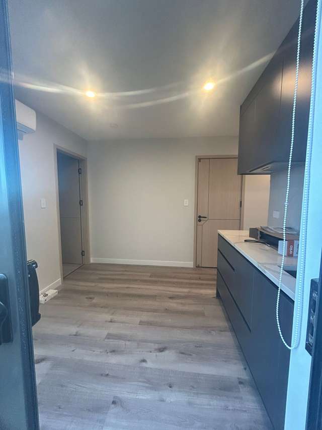 14 Glann Lane Flat Bush_3