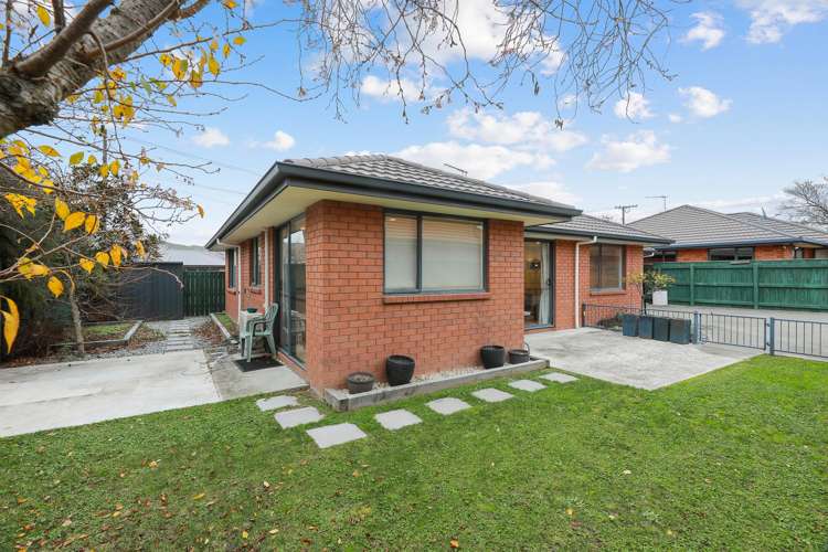 63d Howick Road Redwoodtown_14
