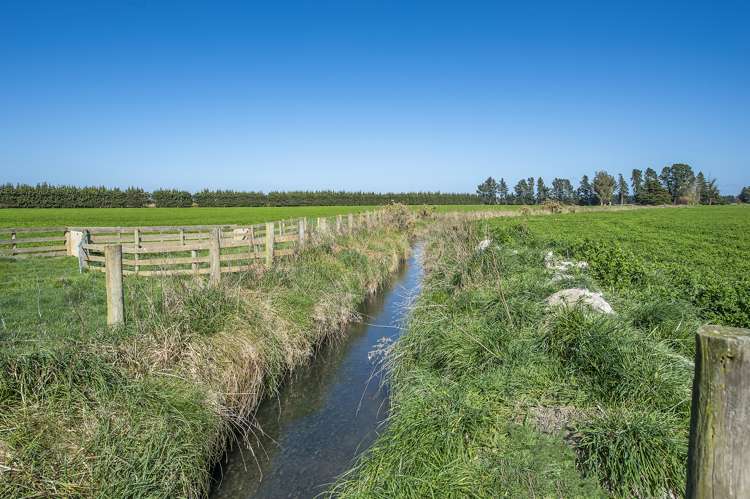 Thompsons Road West Melton_11