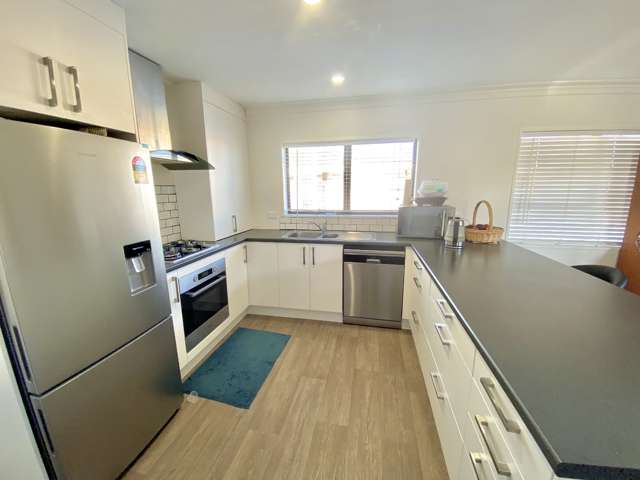 Cameron Road Tauranga Central_3