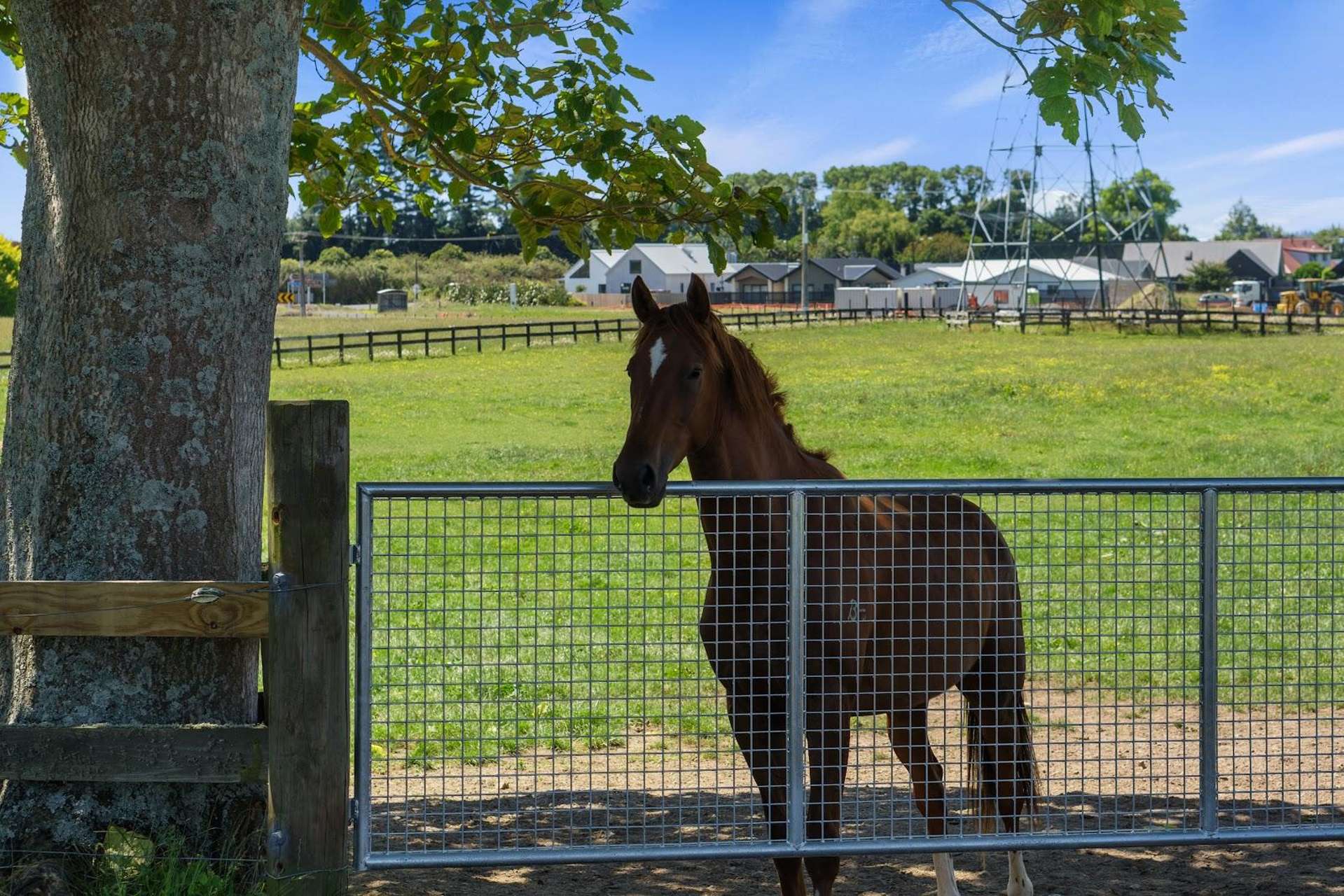 3714 Cambridge Road Leamington_0