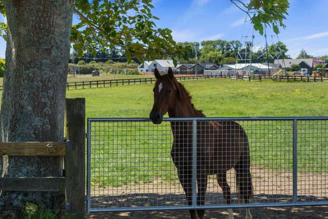 EQUESTRIAN OR HORTICULTURE, THE CHOICE IS YOURS