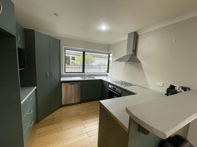 5 Catlins Glen Aotea_6