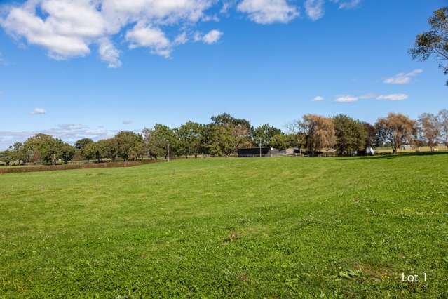 Lot 1 and 3/441 Taihoa South Road Matamata_3